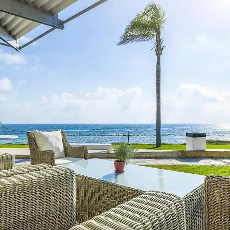 Alexander The Great Pafos